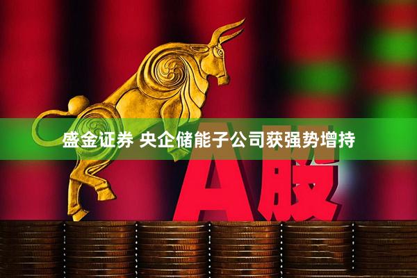 盛金证券 央企储能子公司获强势增持