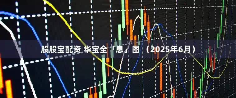 股股宝配资 华宝全「息」图 （2025年6月）